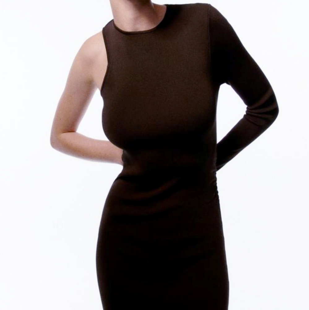 Zara Asymmetric Sleeve Knit Dress